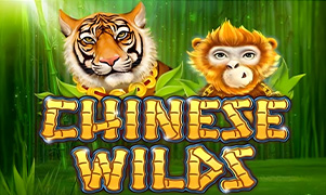 big88login Chinese Wilds